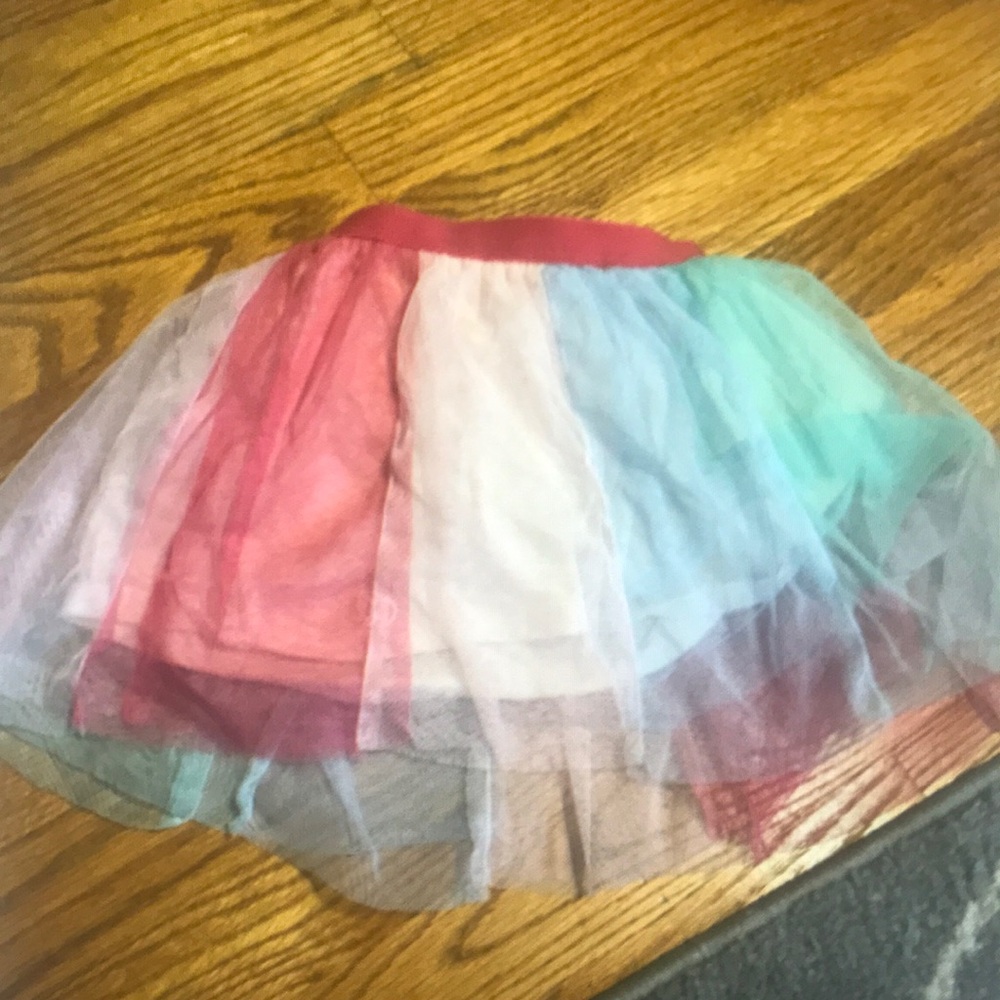 Colorful Tulle Skirt